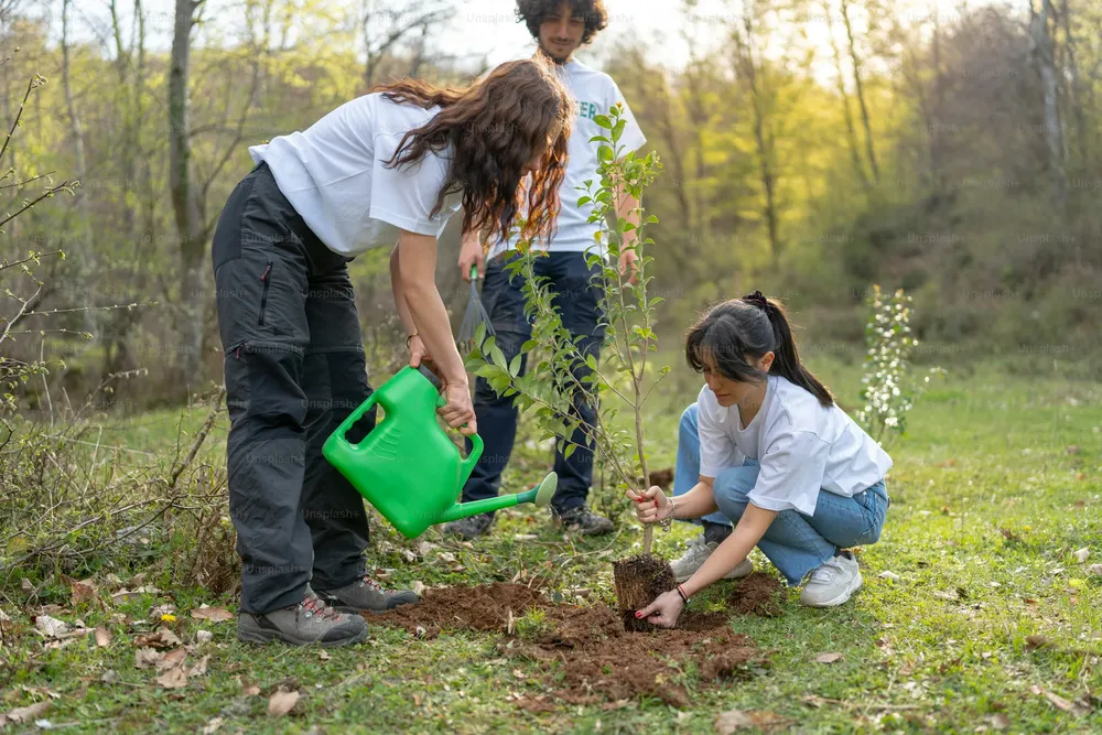 premium_photo-1681140560898-bc854a3b8b1c